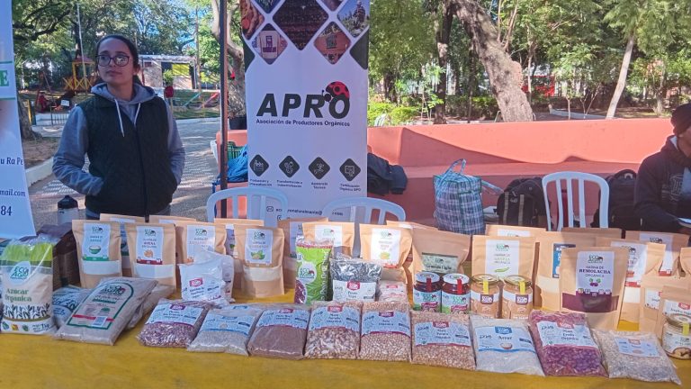 Feria de Semillas Nativas y Criollas